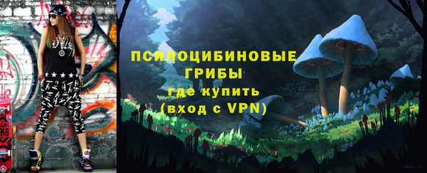 2c-b Богданович