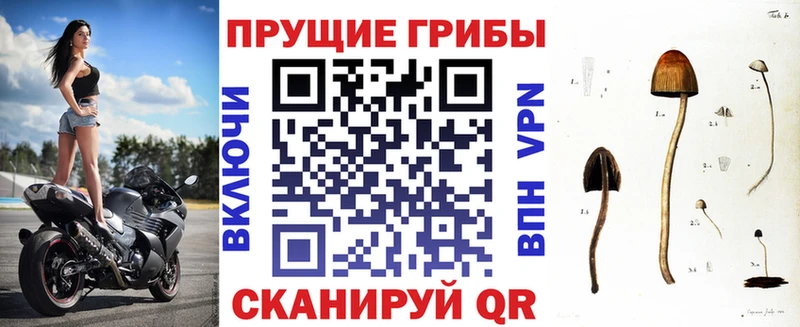 Галлюциногенные грибы мухоморы  Купить где  Никольск 